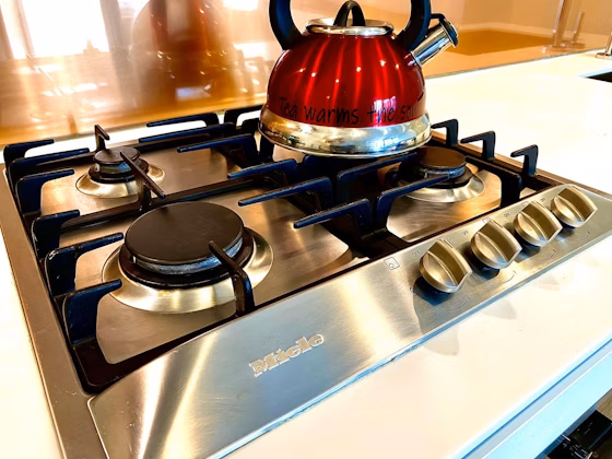 Gas Stove